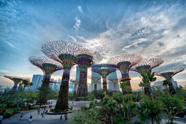 Khu Vườn Gardens By The Bay